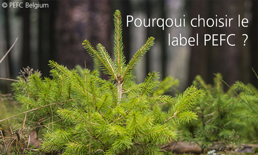 Pourquoi choisir&nbsp;le label PEFC&nbsp;? image